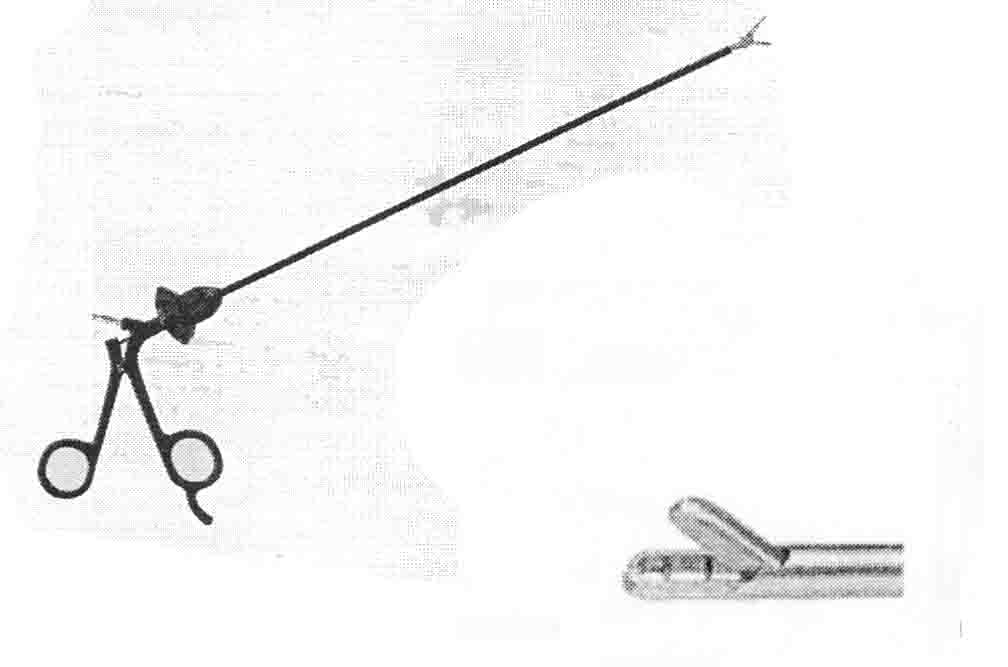 BİYOPSİ FORSEPS KESİCİ AĞIZLI SİNGLE ACTİON 5MM